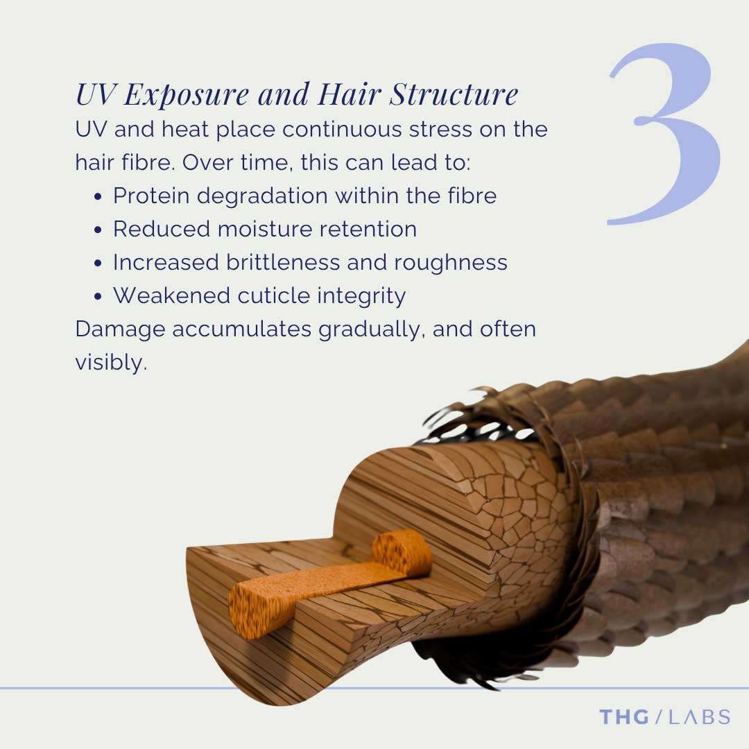 Hair fibre degradation and UV-related structural damage explained through THG LABS haircare expertise