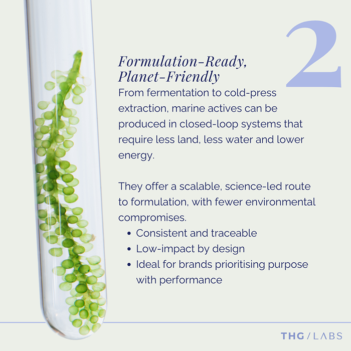 Green microalgae inside a laboratory test tube representing lab-grown, low-impact marine ingredients.