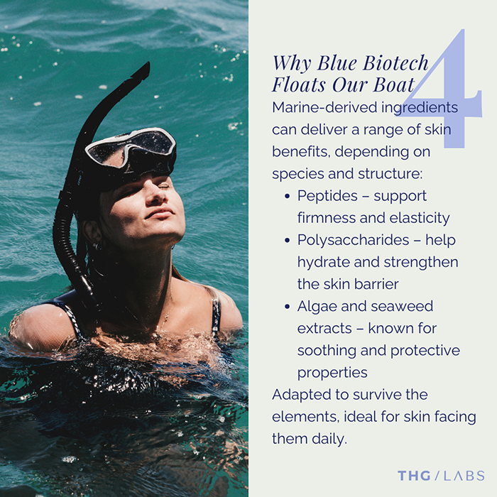 Snorkeller swimming above marine life with text referencing peptides, polysaccharides and seaweed-derived cosmetic ingredients.”