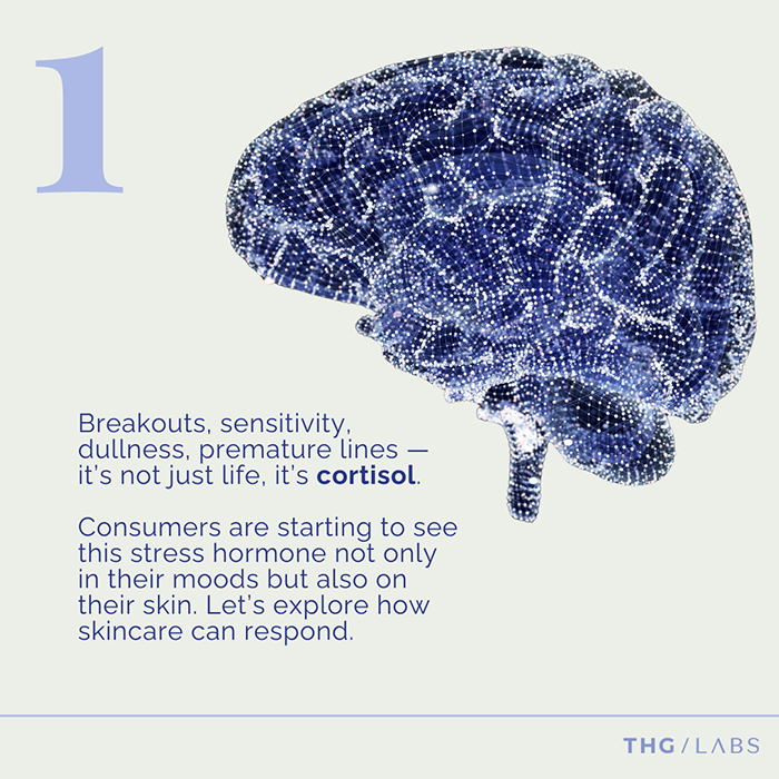  Illustration of daily stressors contributing to skin imbalance in modern beauty routines