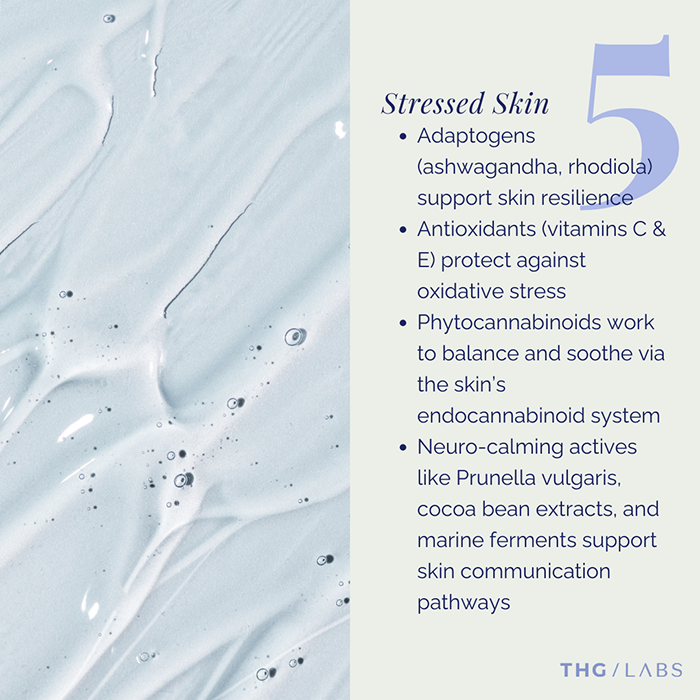  Image referencing lifestyle triggers that contribute to skin stress and beauty concerns.