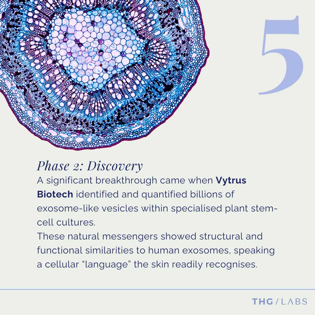 Plant cell cross-section representing botanical and biotech-led exosome discovery