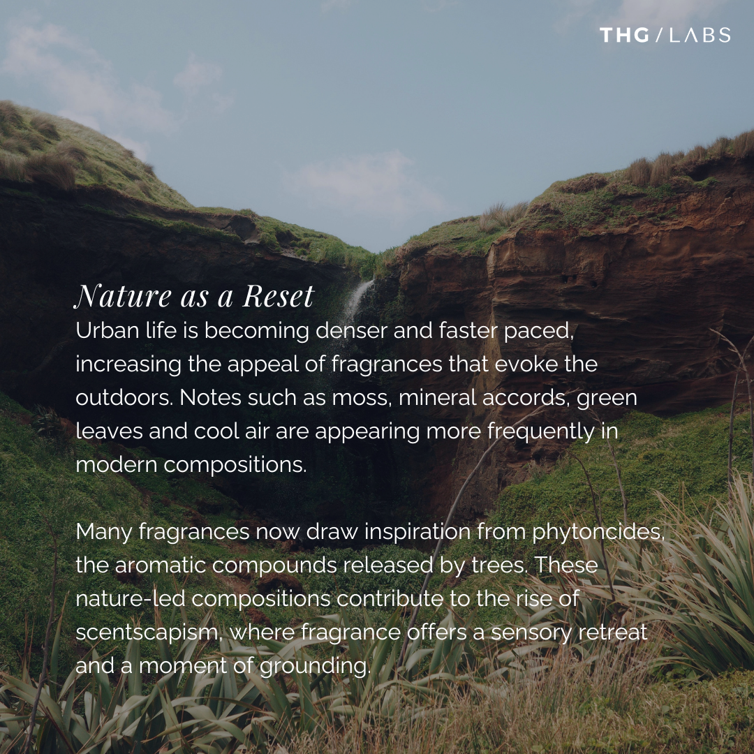 Fragrance formulation inspired by nature, featuring phytoncide-led accords and outdoor scent profiles in modern product development