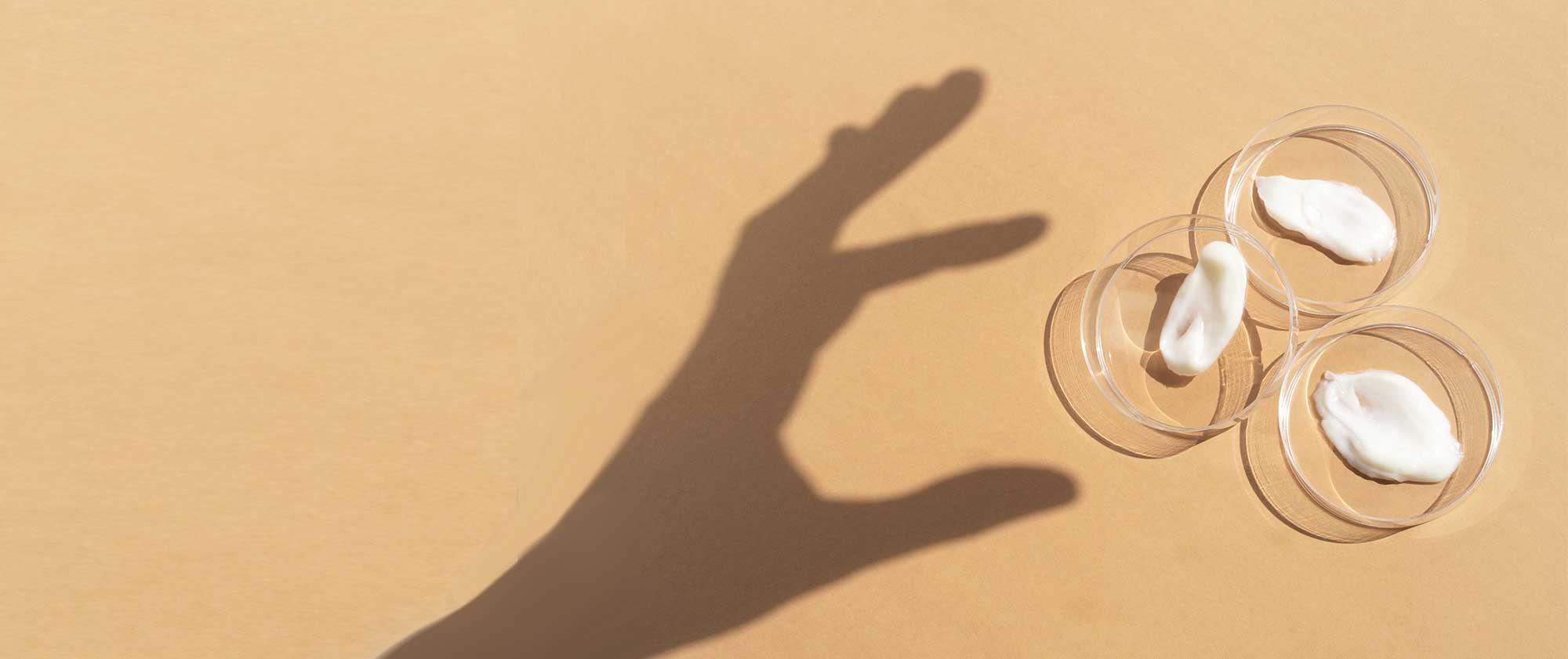 White cosmetic creams in clear sample dishes, illustrating bespoke body care formulation and customised cosmetic product development for beauty brands.