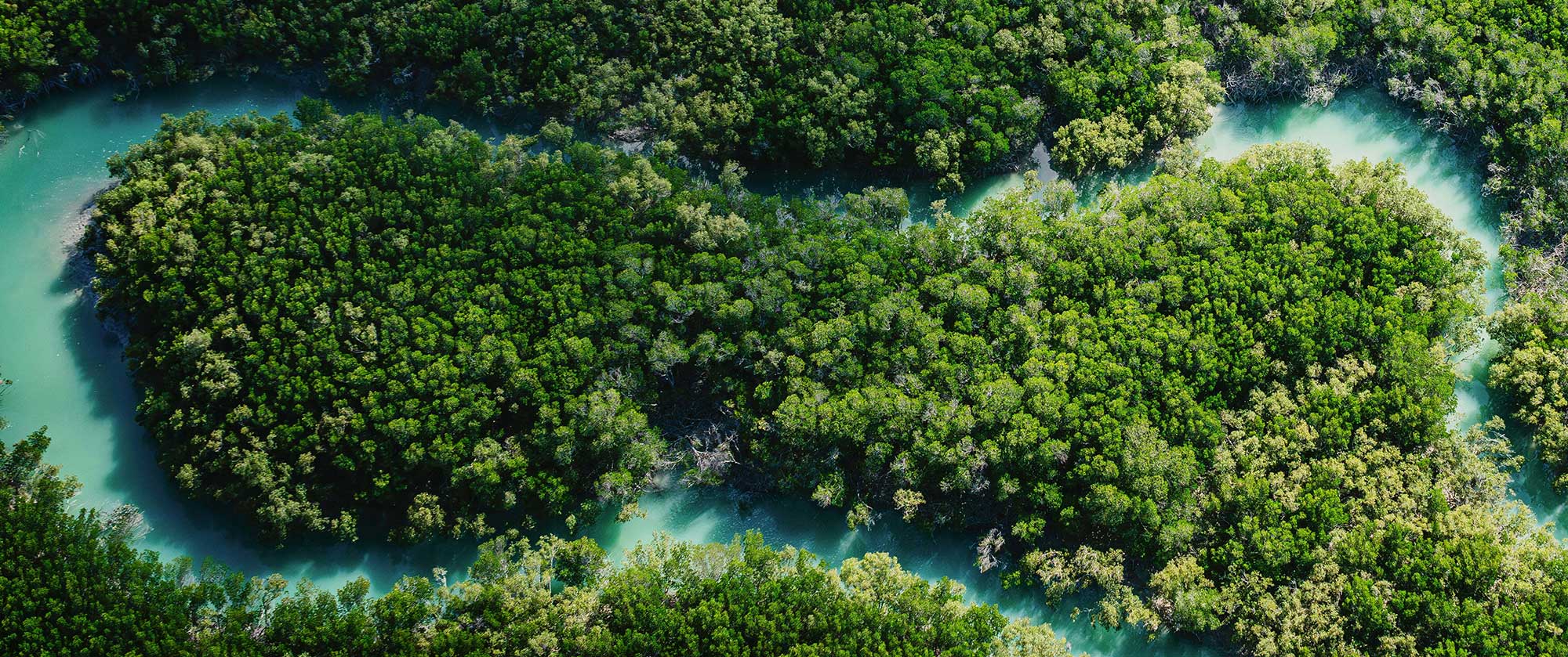 Aerial view of river systems flowing through dense forest representing sustainability and environmental responsibility in beauty manufacturing header