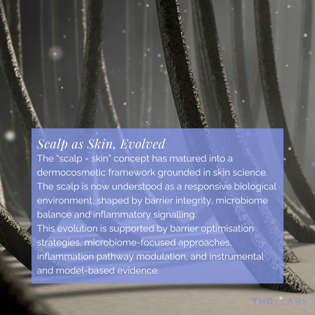 Dermocosmetic scalp care and microbiome-focused haircare innovation developed by THG LABS