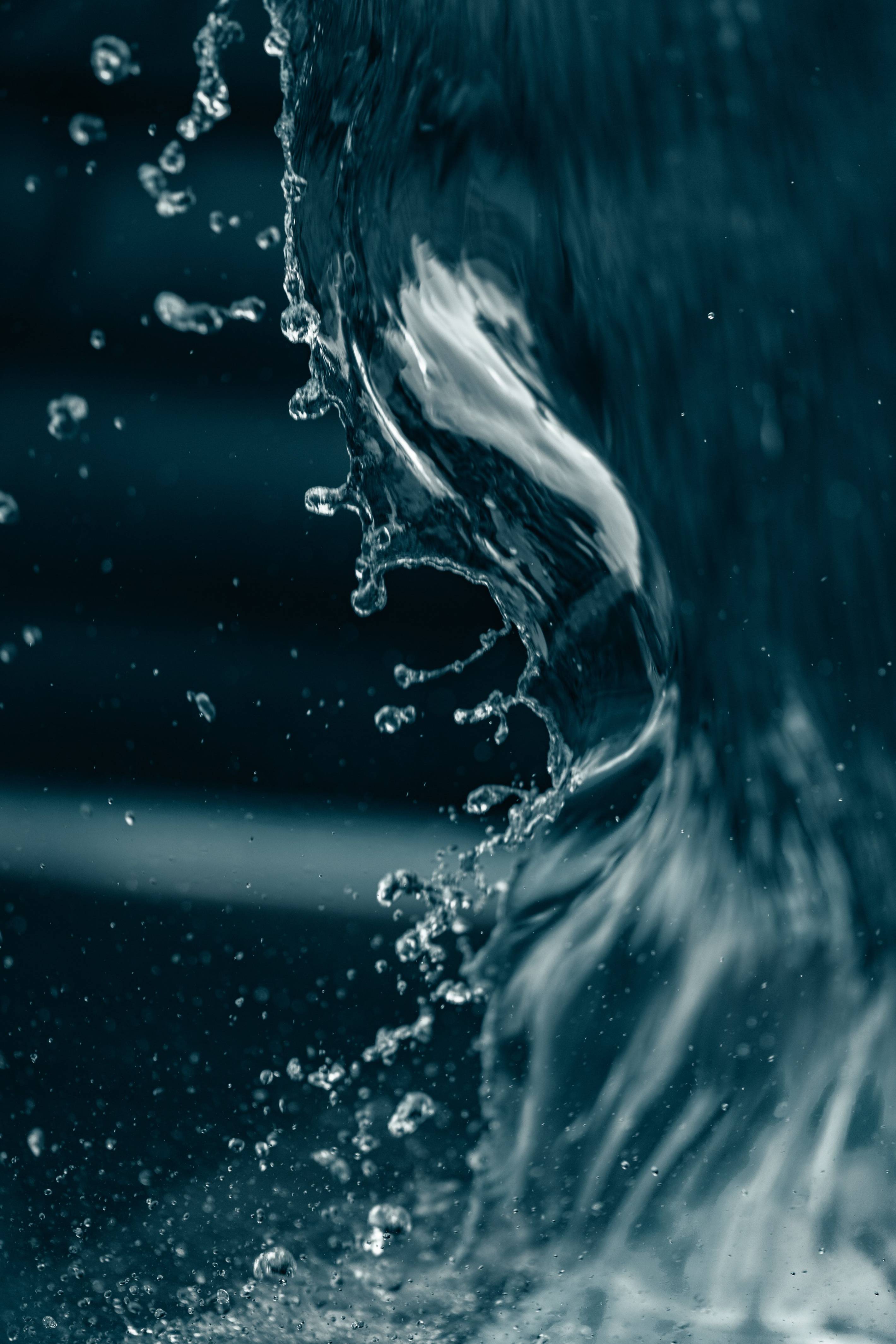 hunter-so-a_ftNVJTDr0-unsplash.jpeg